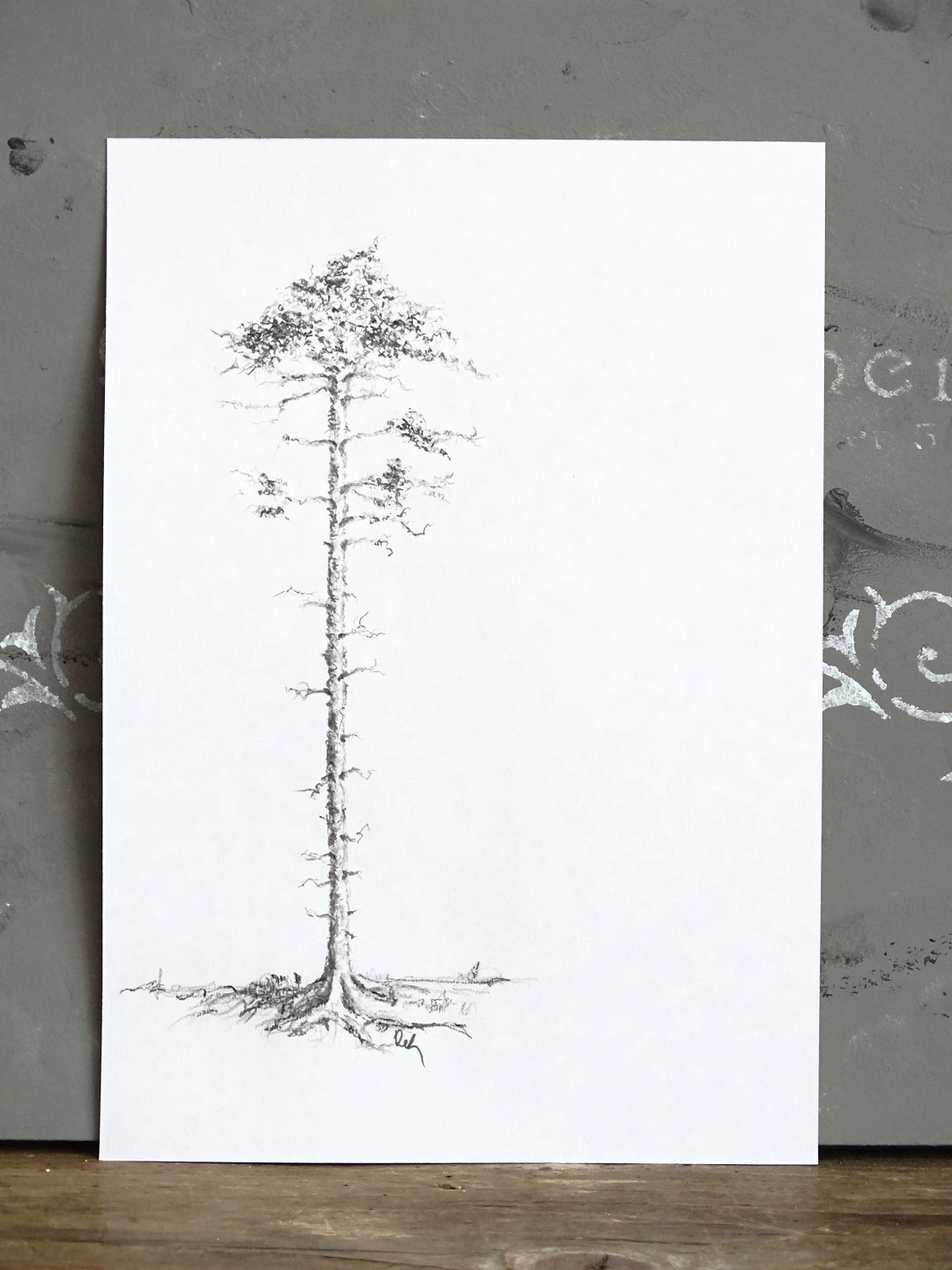 Tannenbaum Original Kohle Zeichnung Tannenbaum Skizze Kohle Etsy