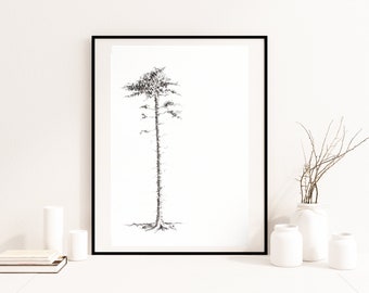 Original Sketch Pine Tree, Minimalist Tree Drawing Artwork, Pencil Charcoal, Fir Pine Drawing Black White, Modern Rustic Tree Wall Decor
