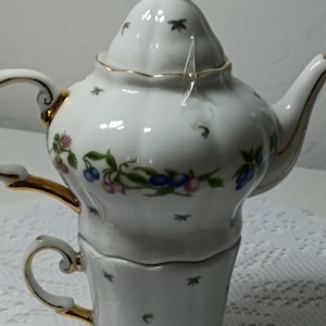 Fruit Porcelain Tea for One Set Teapot, Teacup, and lid, and Stackable ~Vintage~