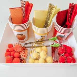 Fruit Sensory Bin Sorter | Early Learning Ability and Fine Motor Skills | Montessori Matching Game