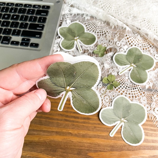 CLEAR 4 Leaf Clover Sticker | plant sticker | waterproof water bottle sticker | laptop sticker | handmade & homegrown | plant art
