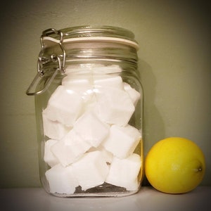 eco-vie Natural /& Vegan Fizzing Toilet Bombs Tabs x 10 safe to handle