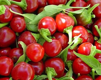Cherry Bomb Pepper Seeds