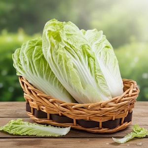 Chinese Cabbage Seeds