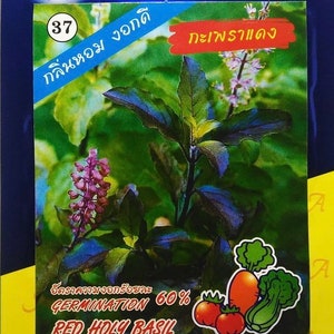 May include: Seed packet for Red Holy Basil. The packet features a vibrant image of the plant with purple flowers and dark green leaves. Text includes "Red Holy Basil", "Germination 60%", and other Thai text. The packet also shows illustrations of tomatoes, carrots, and lettuce.