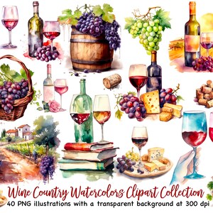 12 Mixed Wine Watercolor Clipart, Cheese Clipart, Charcuterie Board, Wine Watercolor Clipart, Cheese Clipart, Grape Clipart Instant Download
