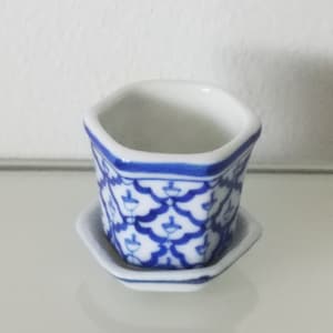 Flower pot with miniature saucer