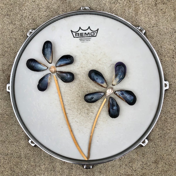 Drum Head Art Etsy