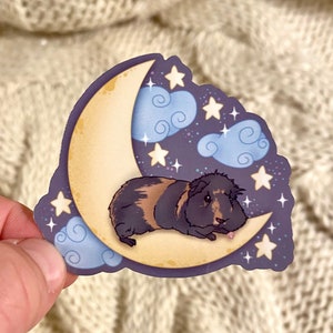 Over the Moon Guinea Pig Sticker, Dream Big Little Pig, Custom Sleepy Guinea Pig Stickers, Cavy Lovers Gift, Cage Accessories, Personalized