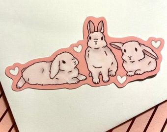 Pink Bunny Valentine Sticker - Lop & Dwarf Rabbits - Bunny Lovers Gift - Love Bunny Sticker - Rabbit Lovers - Vinyl Sticker