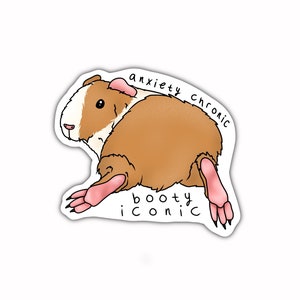 May include: A sticker featuring a cartoon guinea pig with brown fur and a white belly. The guinea pig is lying on its side with its legs outstretched. The text "anxiety chronic booty iconic" is written around the guinea pig.