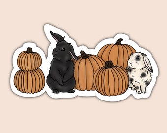 Pegatinas de conejito de otoño, conejito de Holland Lop, pegatina de conejito de calabaza, conejito negro, conejito blanco y negro, pegatina de calabaza, pegatina de otoño