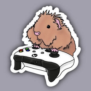 May include: A brown and white guinea pig is playing a video game with a white Xbox controller. The guinea pig is sitting on the controller and has its paws on the buttons.