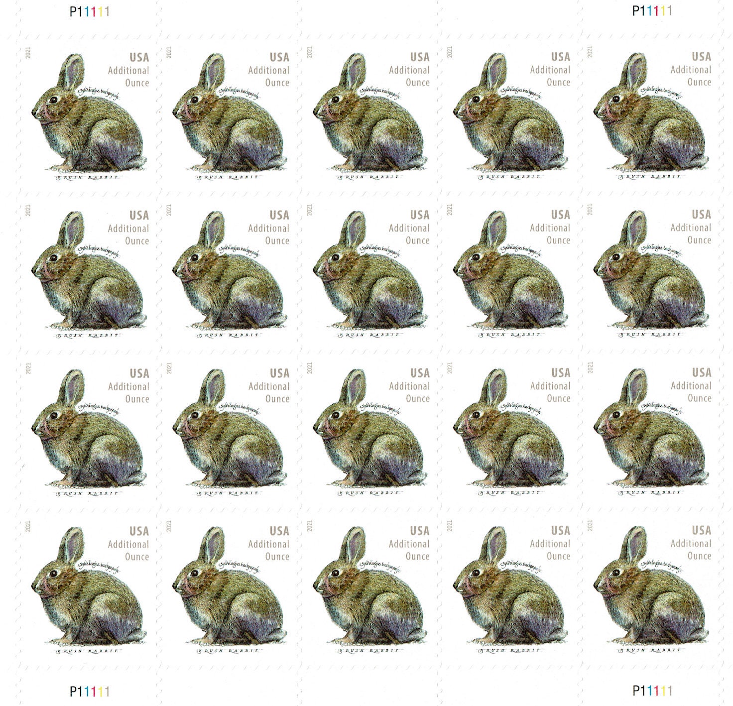 Additional Ounce Stamps USPS Brush Rabbit Stamps Full Sheets Etsy
