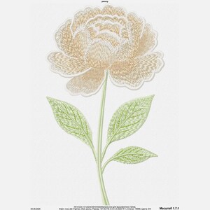 May include: An embroidered beige peony flower with green leaves on a white background. The flower is detailed with stitching and has a delicate, feminine look.