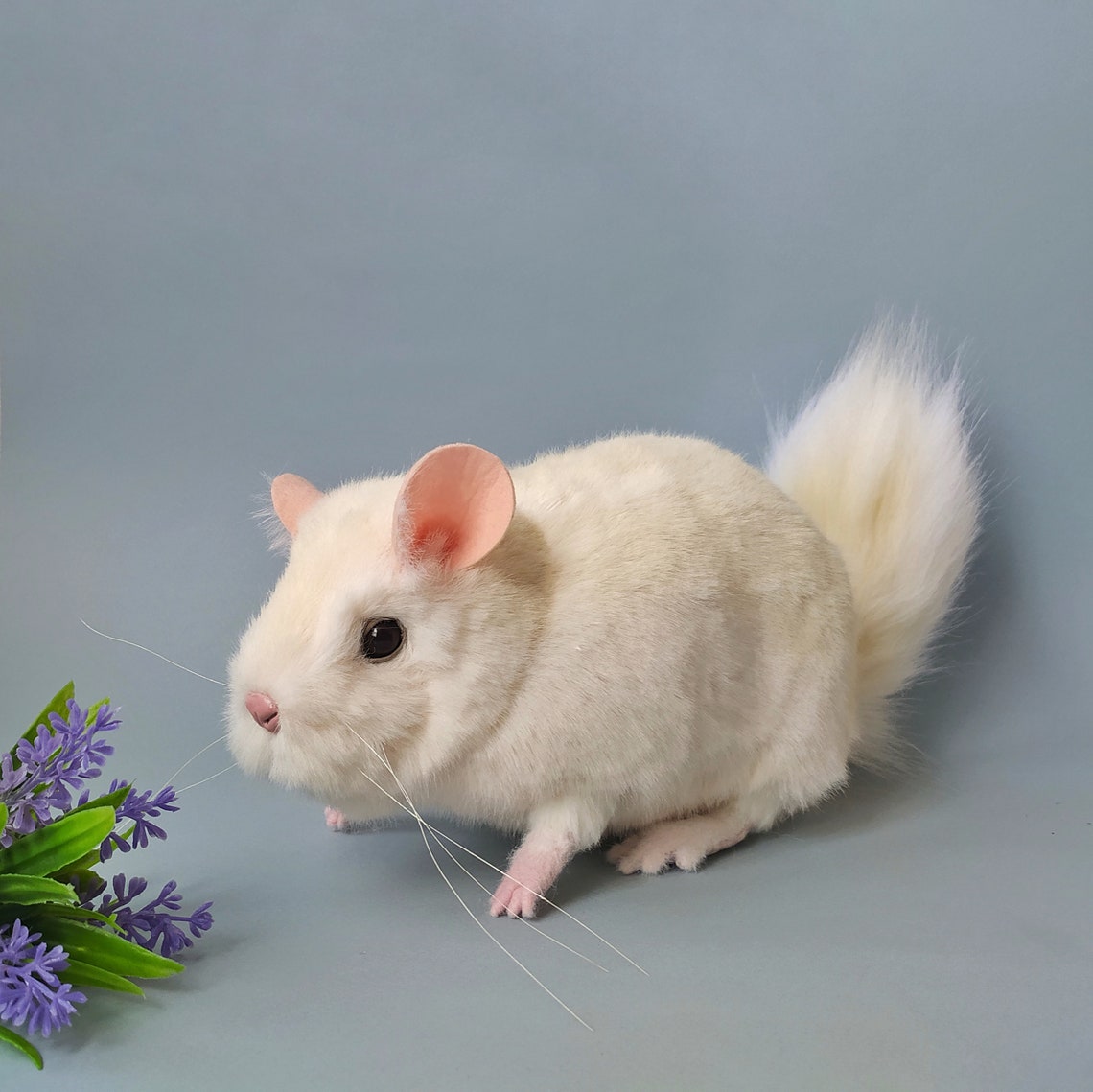 Chinchilla Realistic Stuffed Animal Chinchilla Soft Plush Etsy