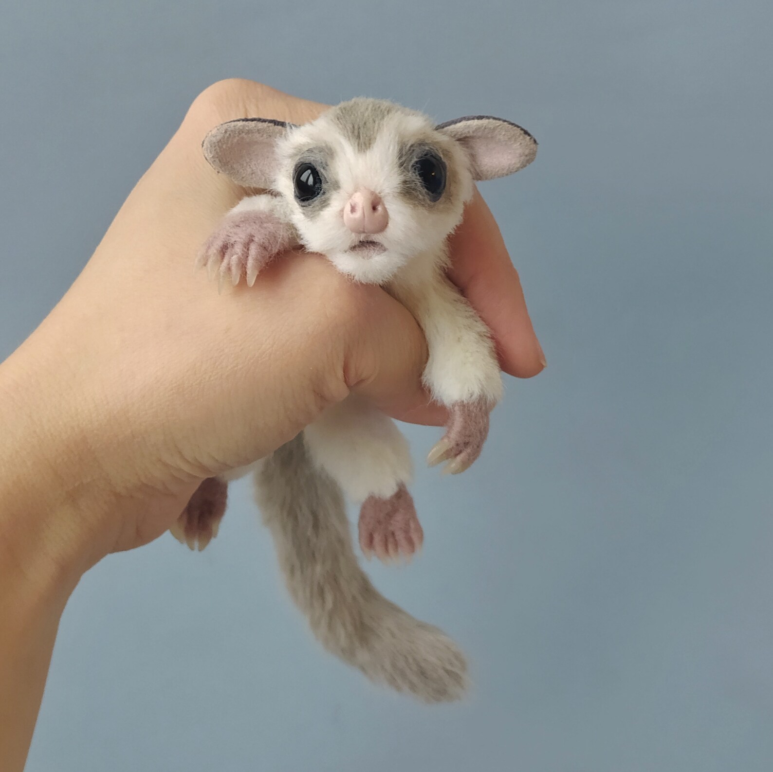 Sugar glider Flying Squirrel realistic stuffed toy OOAK Etsy