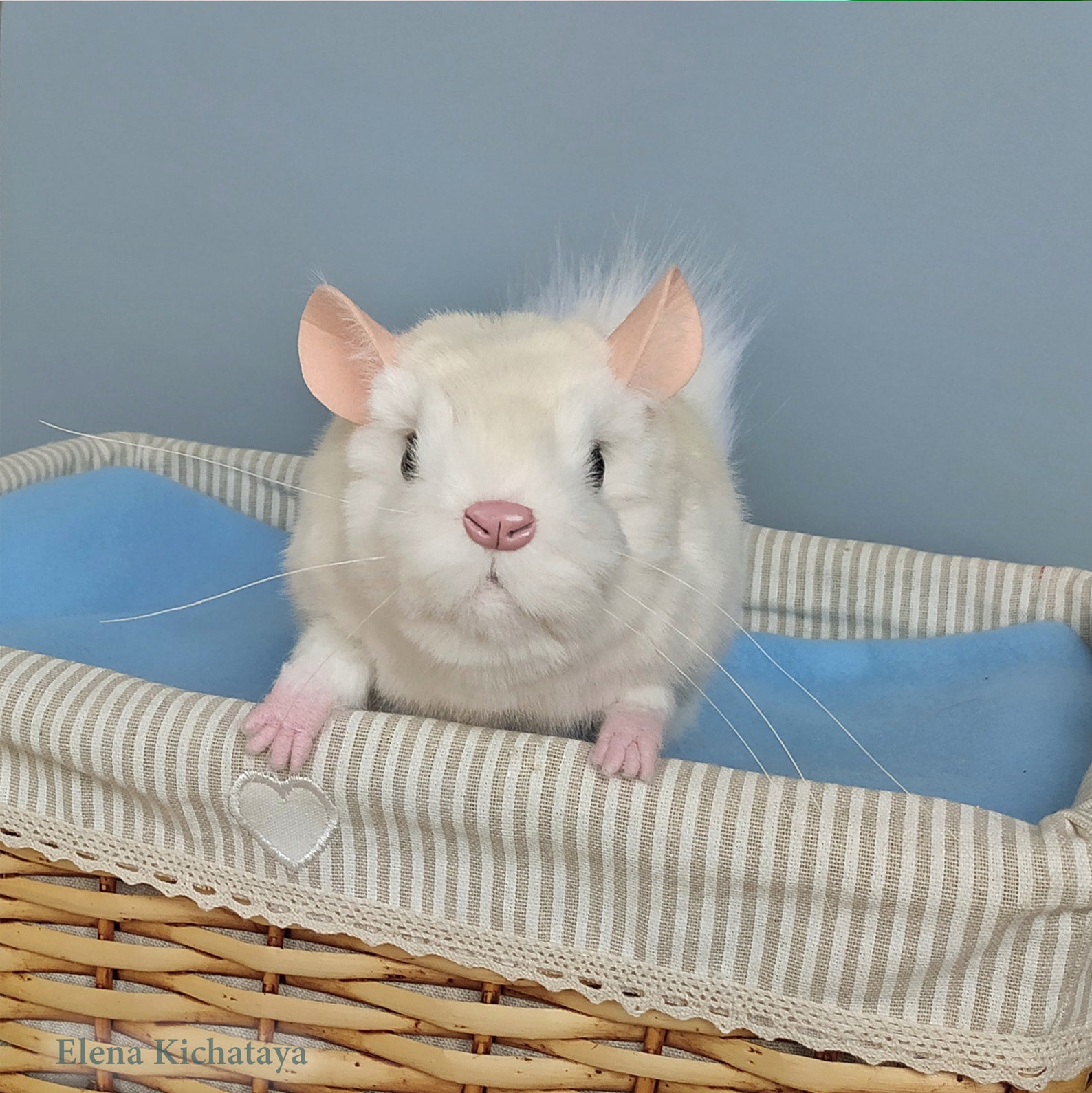 Chinchilla realistic stuffed animal chinchilla soft plush Etsy