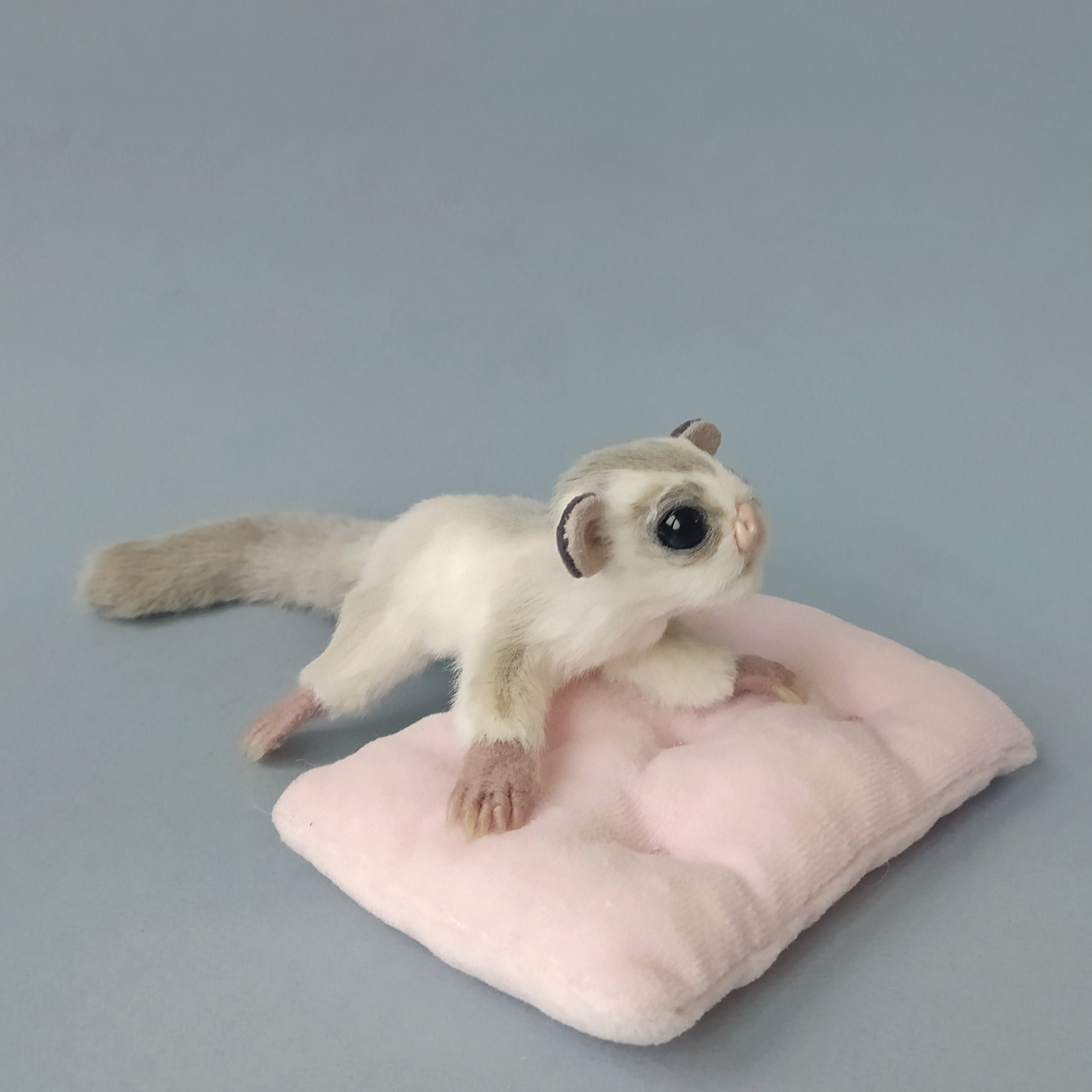 Sugar glider Flying Squirrel realistic stuffed toy OOAK Etsy