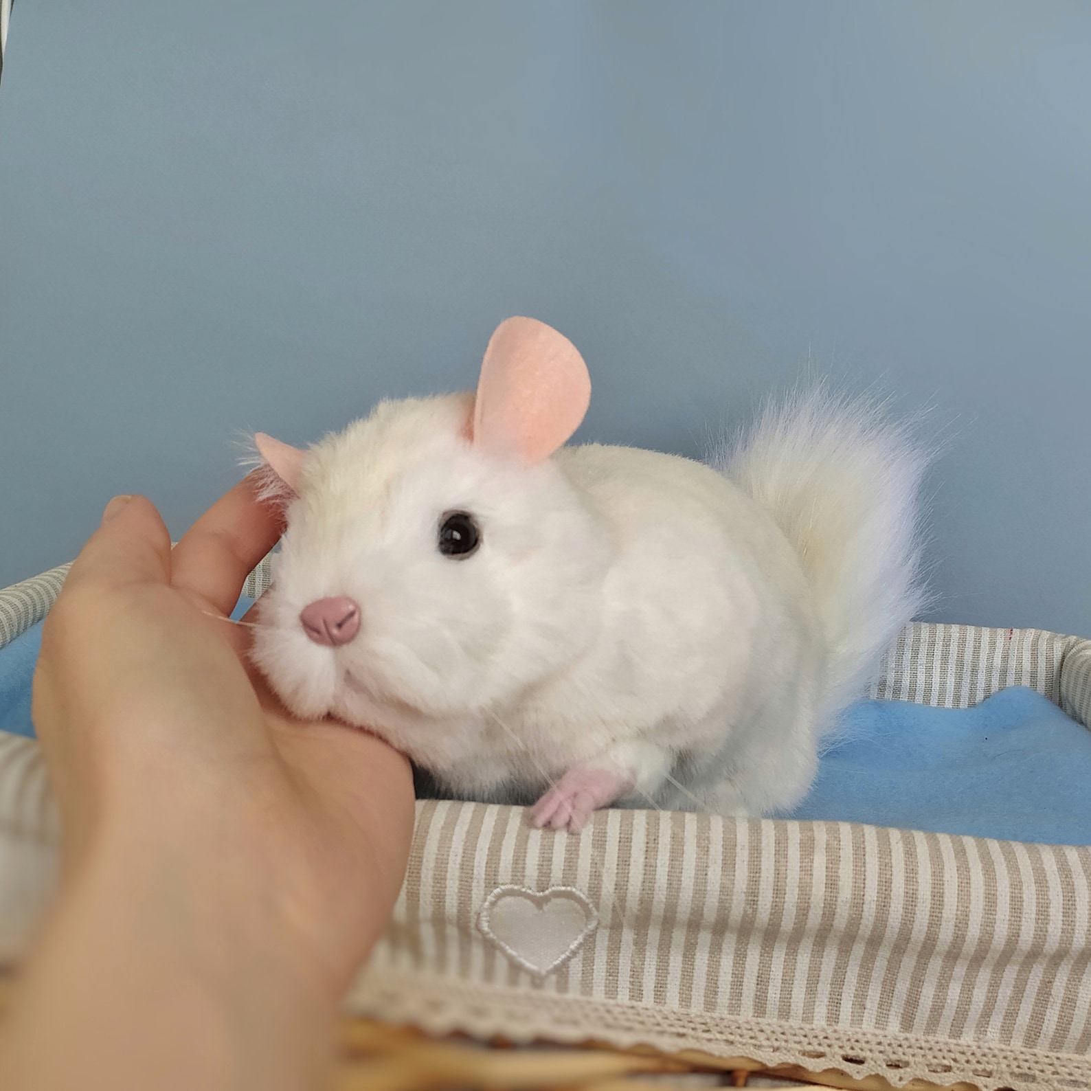 Chinchilla Realistic Stuffed Animal Chinchilla Soft Plush Etsy