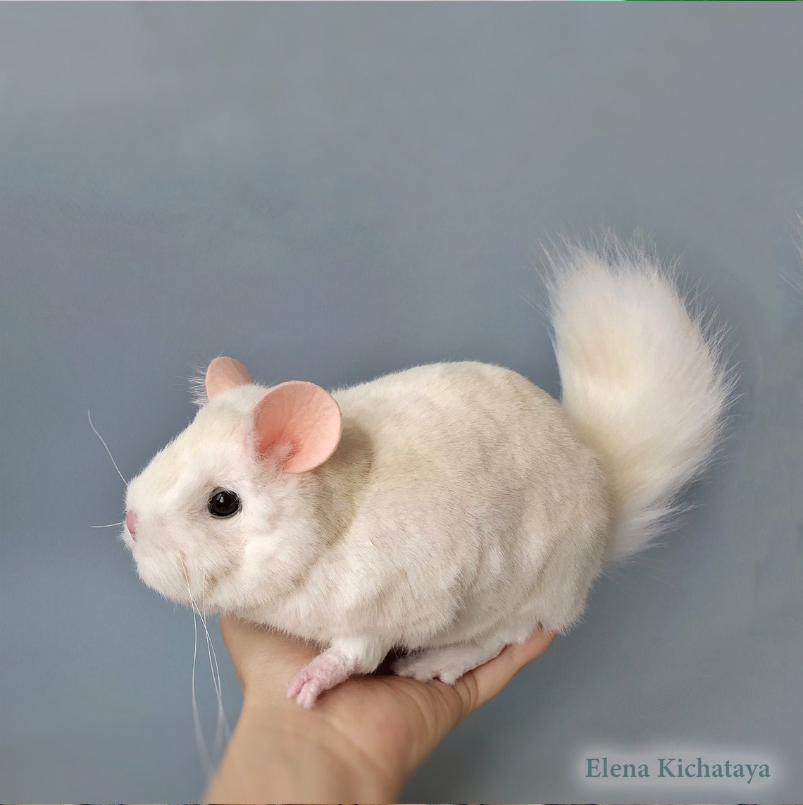 Chinchilla realistic stuffed animal chinchilla soft plush Etsy