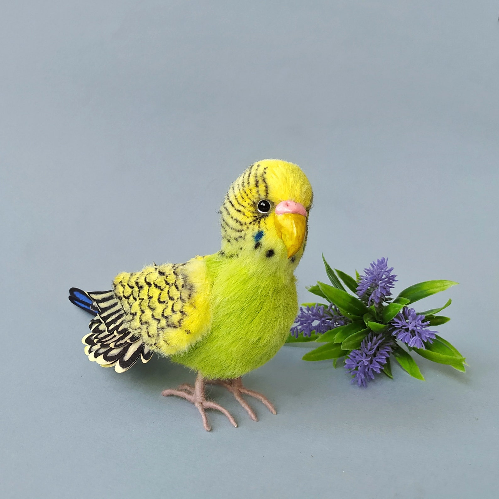 Parrot realistic stuffed bird Budgie soft toy plush artist Etsy