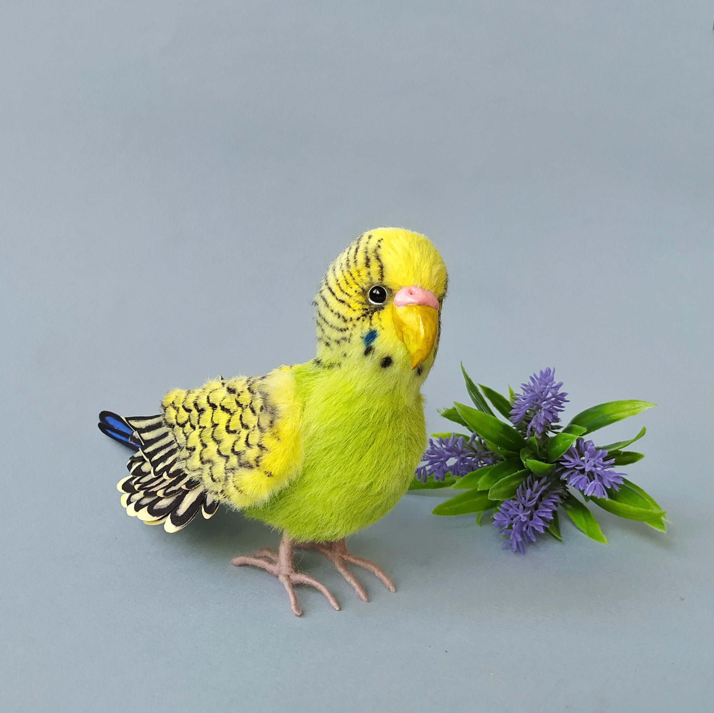 Parrot realistic stuffed bird Budgie soft toy plush artist Etsy