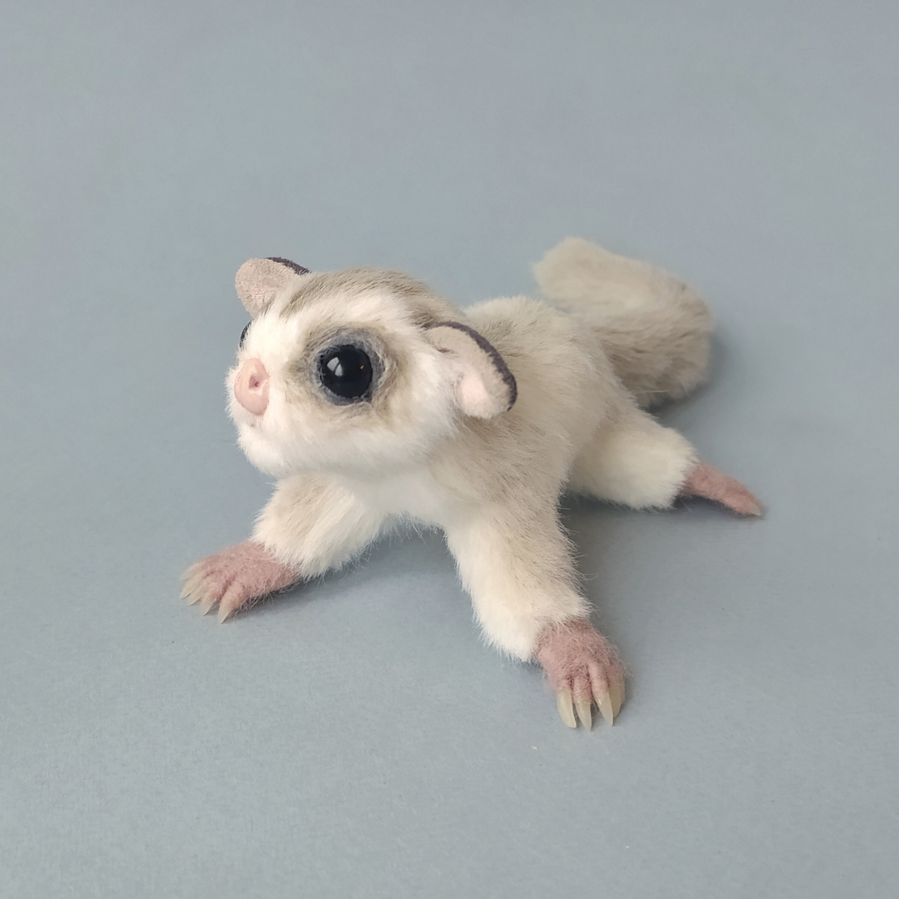 Sugar glider Flying Squirrel realistic stuffed toy OOAK Etsy