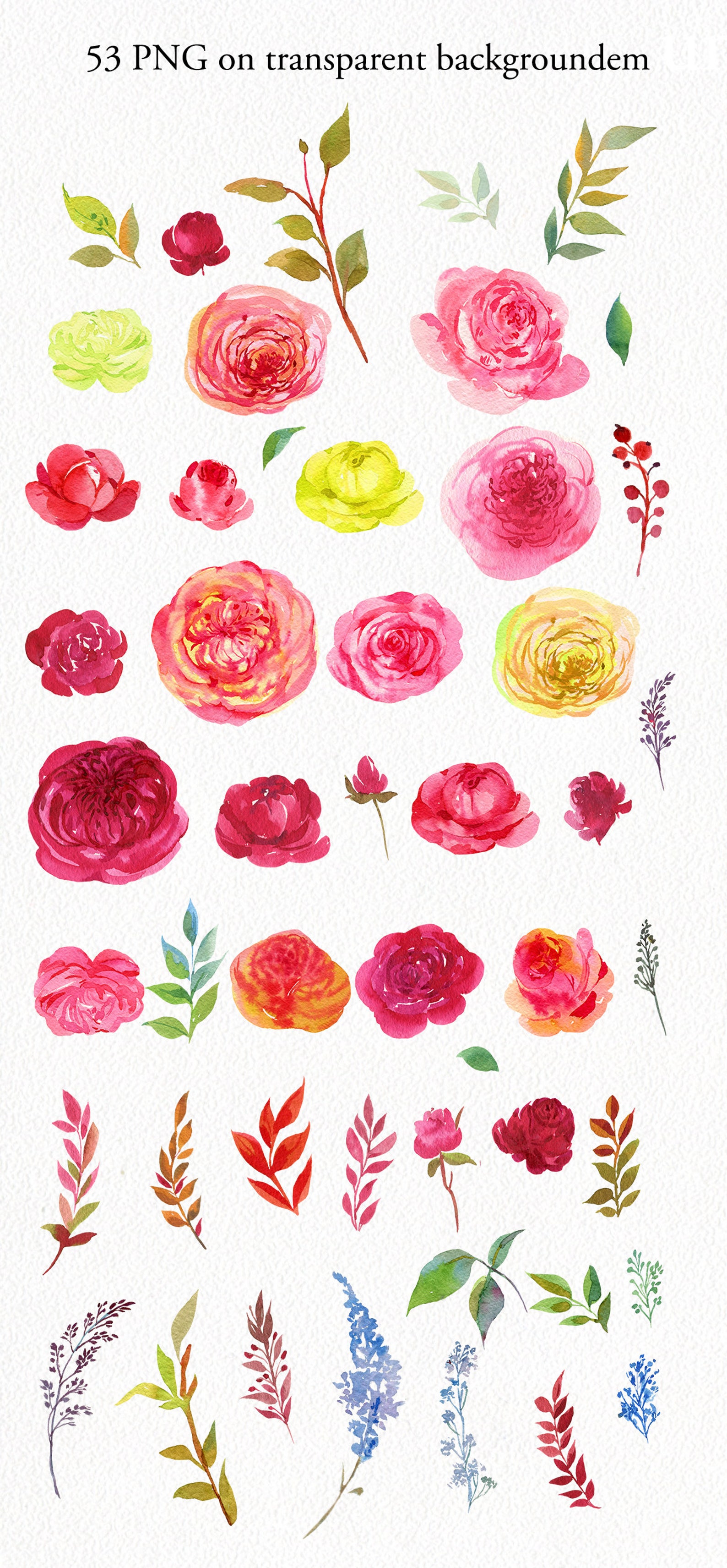Pink Roses flower clipart 72 PNG flora elements bouquets | Etsy