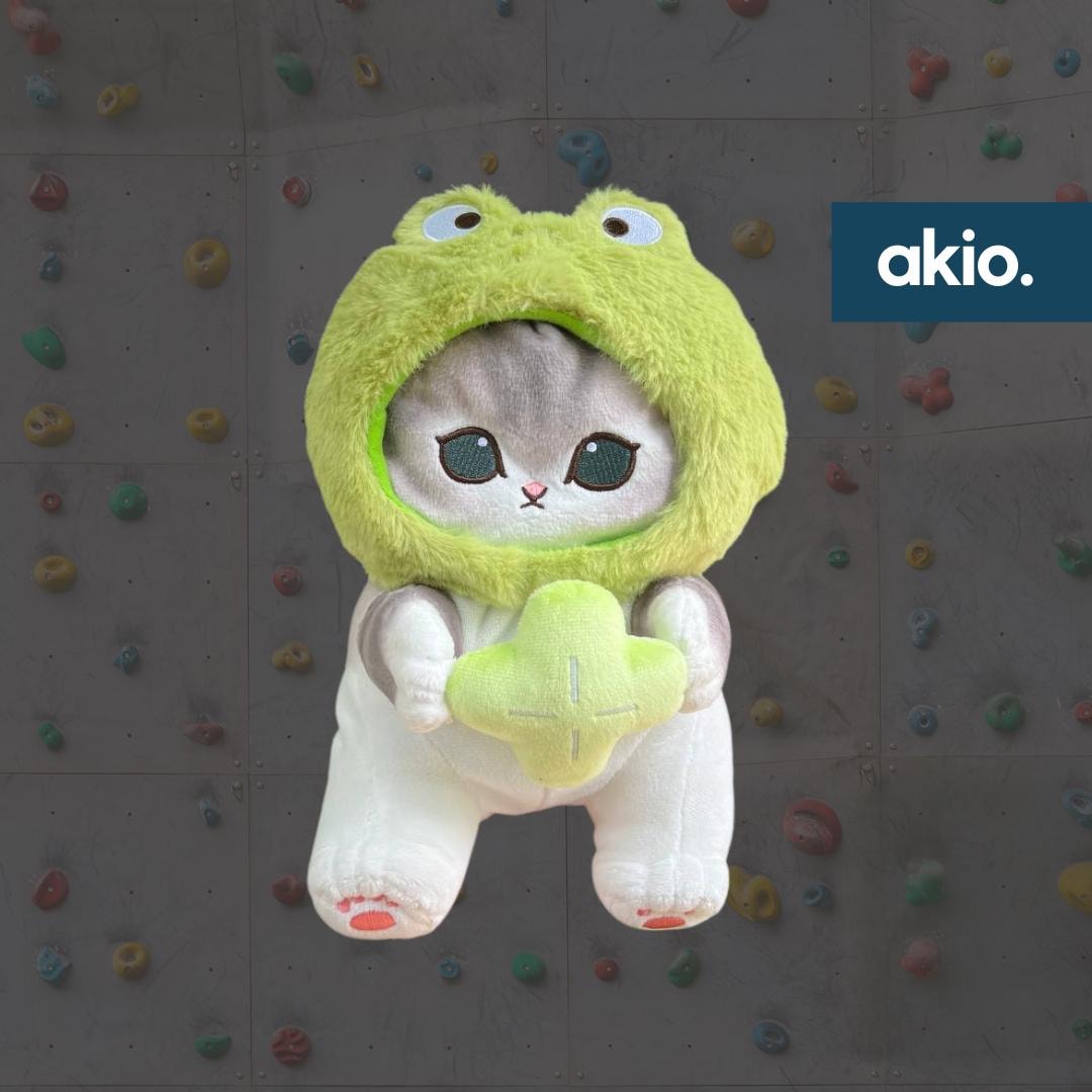 mocoaloha様 Mofusand Cat Green Frog Chalk Bag – akiomakes