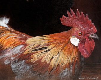 Rooster art - “Don't Be A Chicken” - limited edition Fine Art print of Bantam Roosters
