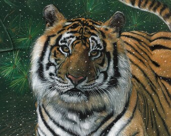 Tiger art - “Christmas Bengal Tiger” - limited edition Fine Art print of Bengal tiger (Asia) - an endangered species