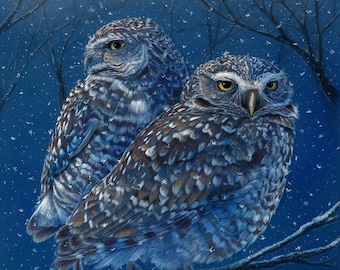 Owl art - “Christmas Burrowing Owls”  - limited edition Fine Art Burrowing Owls (North Central and South America)