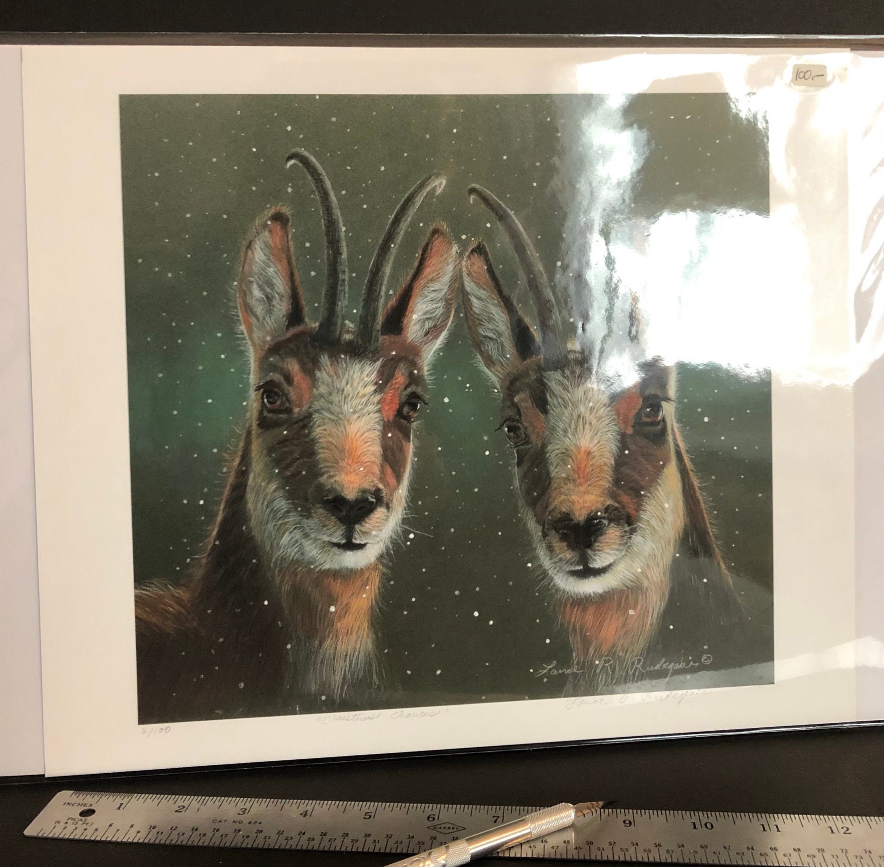 Chamois Art christmas Chamois Limited Edition Fine Art Print of Chamois