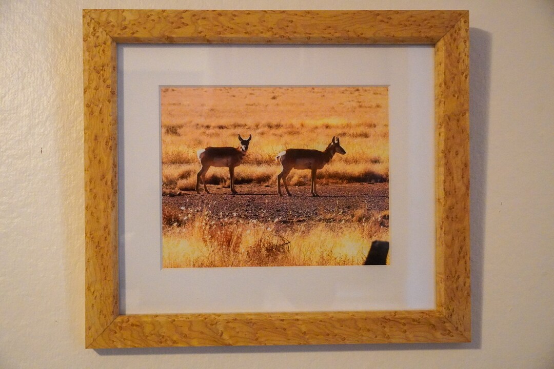 Handmade Birdseye Maple Picture Frame With 8x10 Print Etsy
