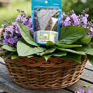 Mallow + Plantain leaf - SuperTortoise ( food topping for Tortoises )