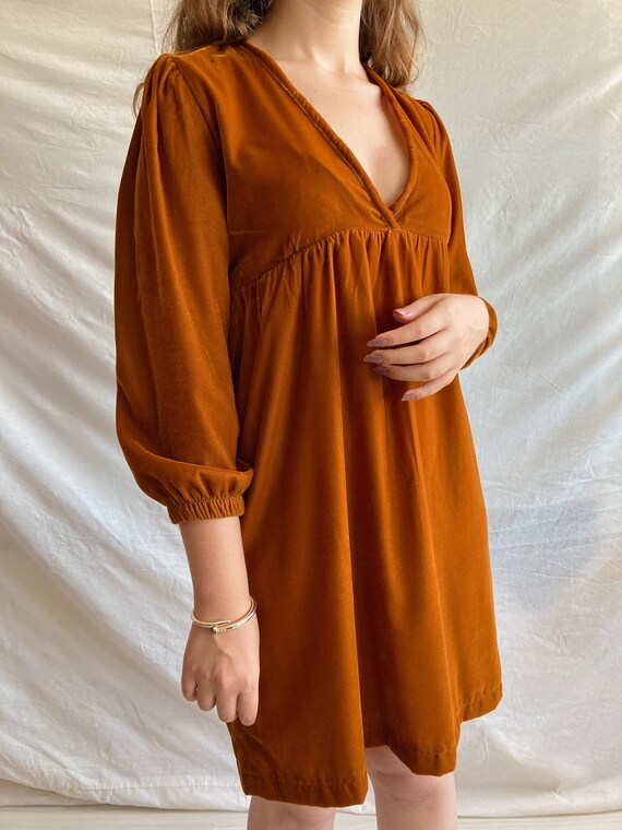 Velvet Mini Dress in Cinnamon AUDRY 