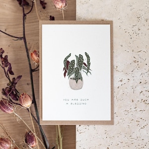 Postkarte Pflanzen – Geburtstag // Postcard Plant Lady – You are such a blessing – Friendship, Happy Birthday