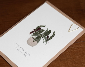 Postcard Plants – Birthday // Postcard Plant Lady – You are such a blessing – Friendship, Happy Birthday