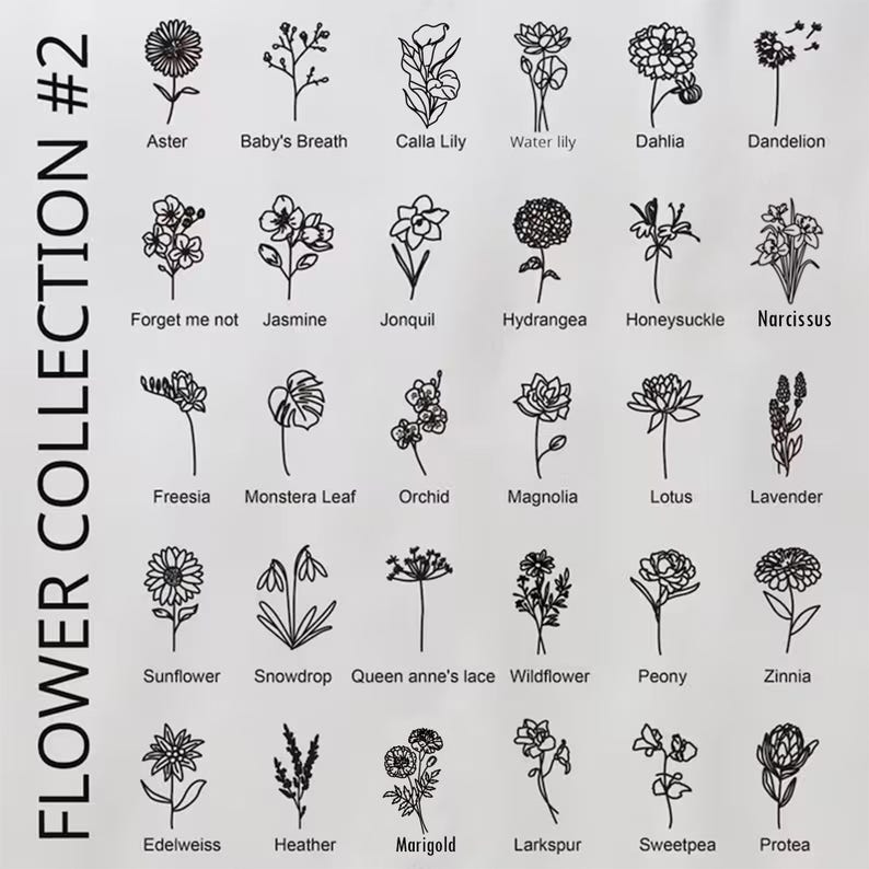 以下が含まれることがあります： 28種類の花のイラストが描かれた白いプリント。それぞれに一般的な名前が付けられています。「FLOWER COLLECTION #2」の文字が左側に縦に並んでいます。アスター、ダリア、ラベンダーなどの花が含まれています。