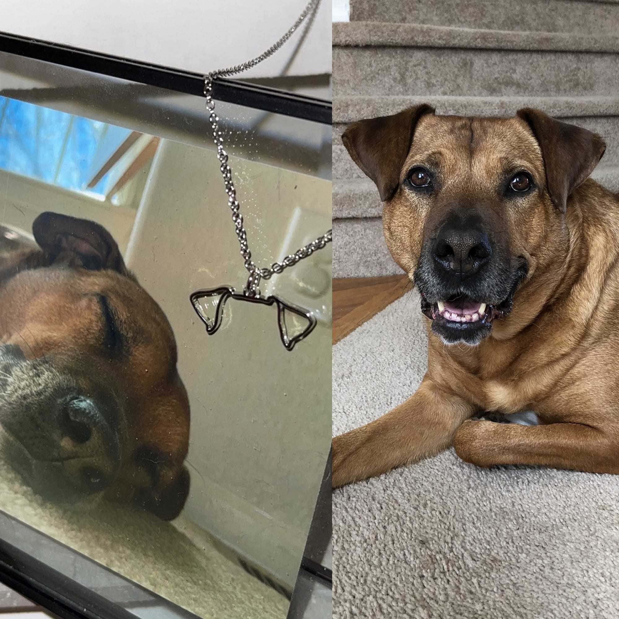 Custom Dog Ears Outline Necklace - Personalized Pet Jewelry - Animal Silhouette Pendant- Unique Dog Lover Gift - Memorial Pet Portrait Gift