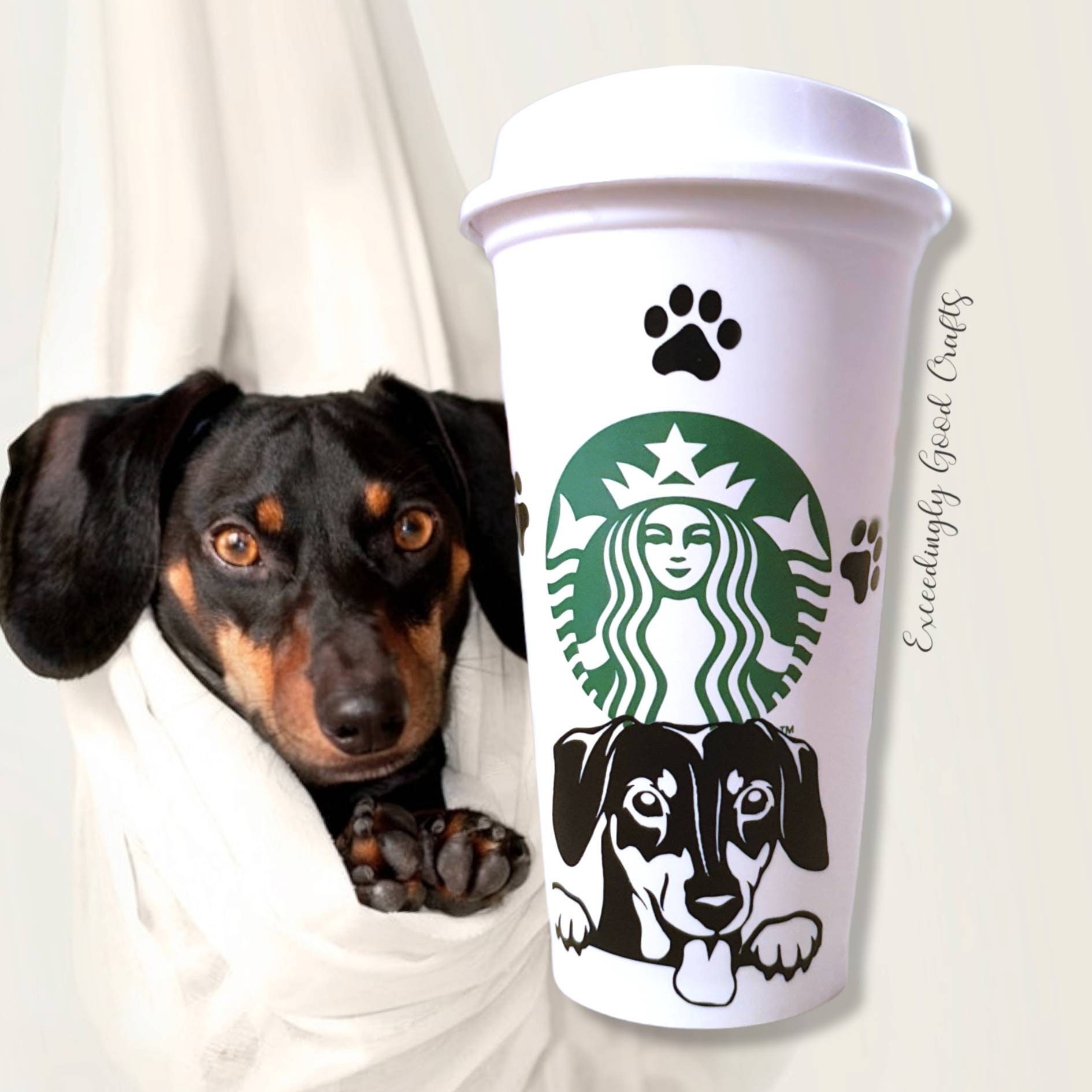 Can Dogs Go In Starbucks Uk