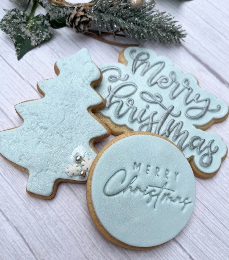 Cookies for Santa Christmas Biscuits Christmas Cookies - Etsy UK