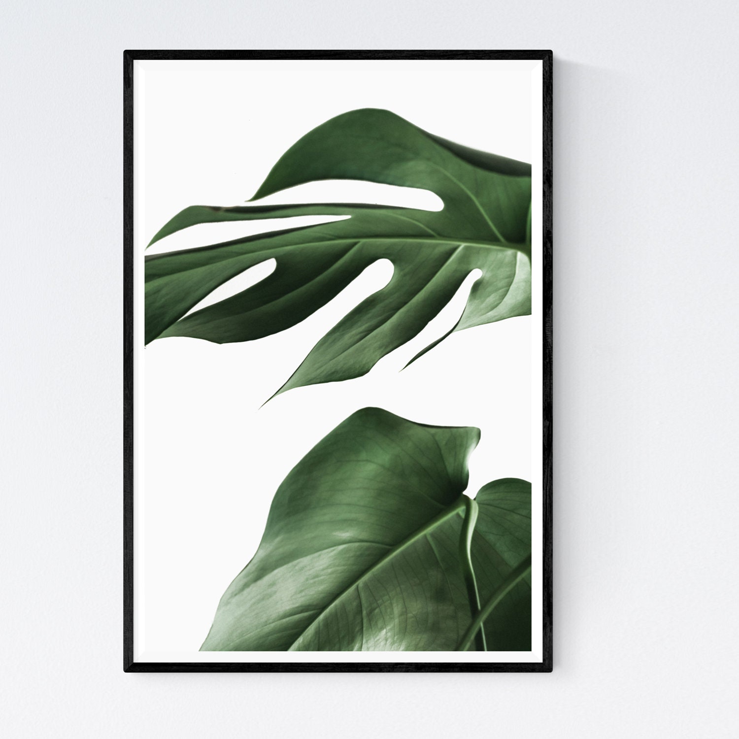 Monstera Poster Plant Print Wall Art Home Decor Etsy