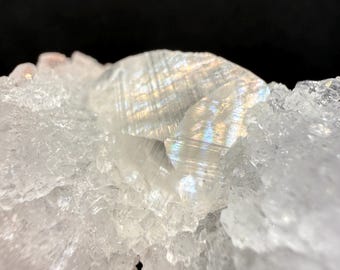 Gem Calcite in Fluorite Crystal