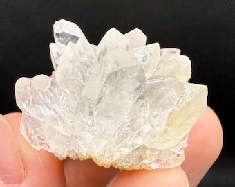Cute Gem Clear Calcite Flower Cluster