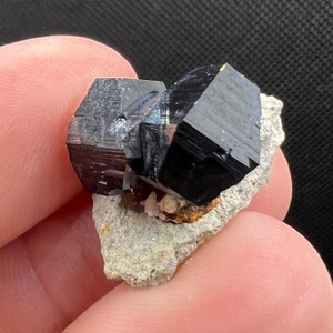 Two Blue Gem Anatase Crystals on Matrix