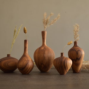 Op de afbeelding: Vijf houten vazen in verschillende vormen en maten, allemaal met een donkerbruine houtnerf. De vazen zijn in een rij op een houten oppervlak gerangschikt. Sommige vazen bevatten gedroogde grassen of bloemen.