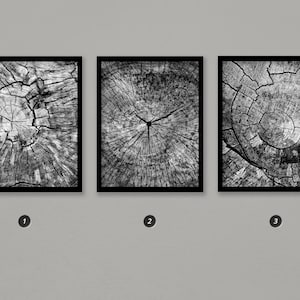 May include: Three black and white framed prints of tree rings. The prints are arranged in a row from left to right. The first print shows a close-up of the centre of a tree ring. The second print shows a wider view of the tree ring. The third print shows a close-up of the outer edge of the tree ring.