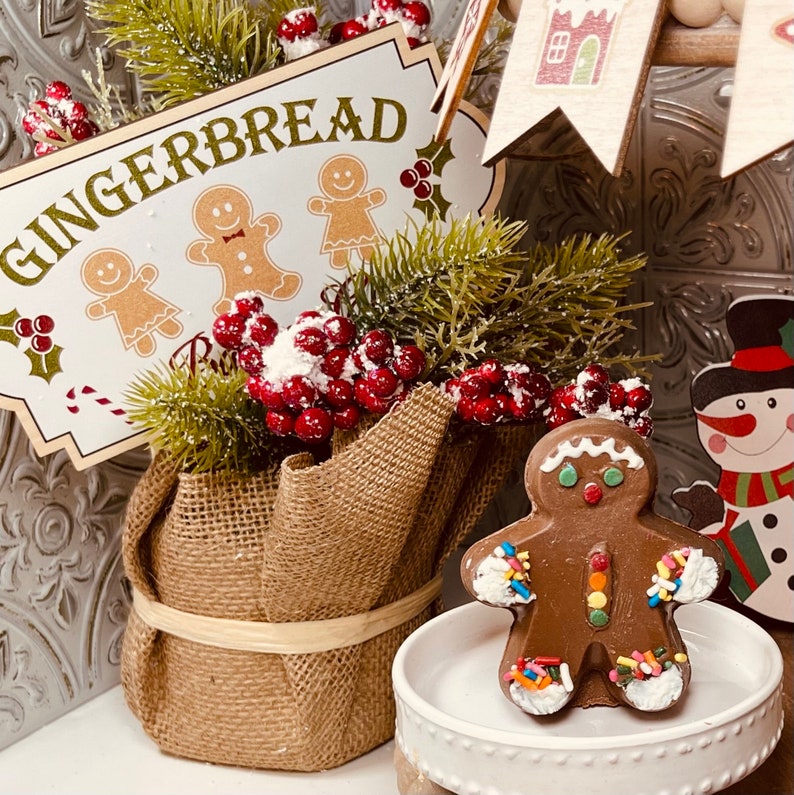 May include: A gingerbread themed Christmas decoration with a burlap wrapped pot filled with greenery and red berries. A chocolate gingerbread man with sprinkles is on a white pedestal.